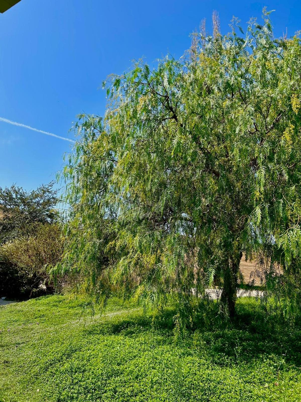 Agriturismo Podere Farnesiana Tarquinia Buitenkant foto